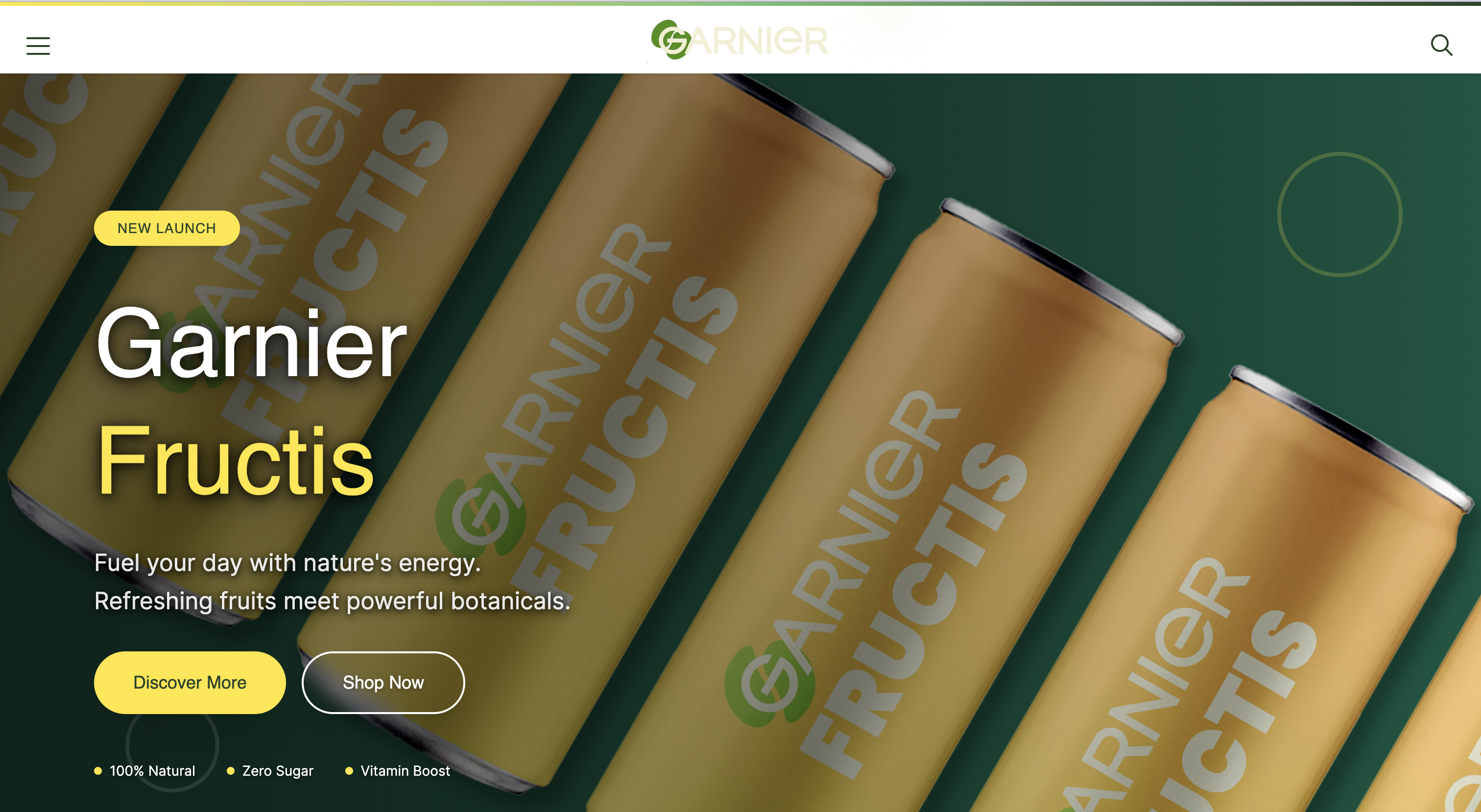 Garnier Rebranding Project